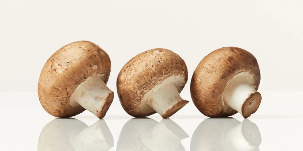 Discover The Best Mushrooms For Sale: Buy Fresh And Organic